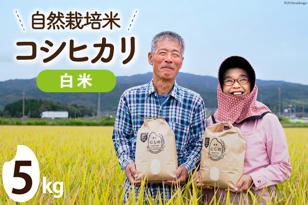 [期間限定発送]米 令和6年 自然栽培米コシヒカリ 白米 5kg×1 [農家にしの 石川県 宝達志水町 38600881] 令和6年産 お米 こめ コメ 5kg 5キロ こしひかり