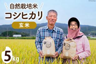 [期間限定発送]米 令和6年 自然栽培米コシヒカリ 玄米 5kg×1 [農家にしの 石川県 宝達志水町 38600883] 令和6年産 お米 こめ コメ 5kg 5キロ こしひかり